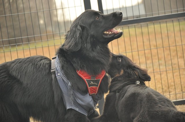 271159716 5413449322003807 1081287766825190243 N