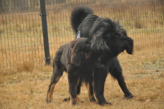 271160030 5413451515336921 1196401096067362023 N