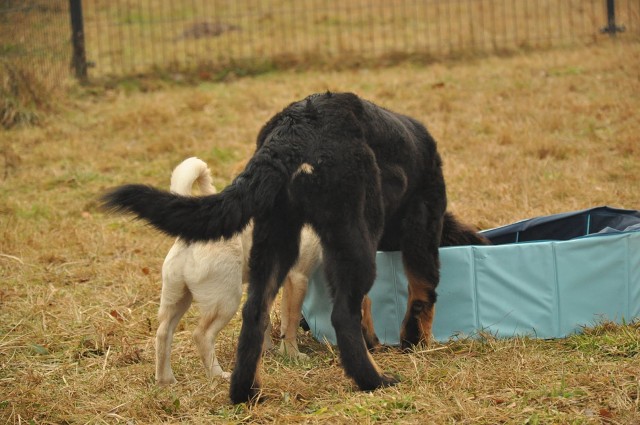 271162678 5413450792003660 7378848161860907944 N