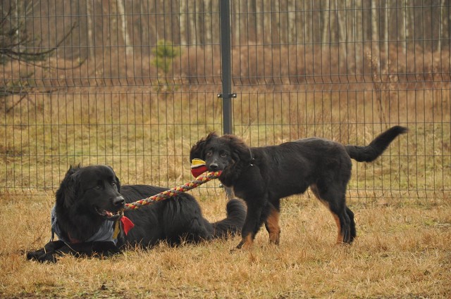 271166363 5413457825336290 2369880017631397891 N