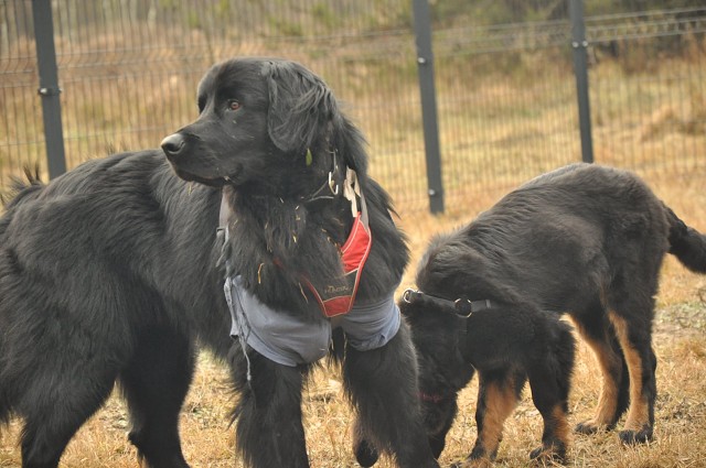 271172184 5413449532003786 877117912402454120 N