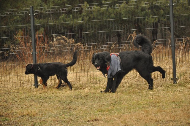 271175368 5413454995336573 4211427845730542650 N