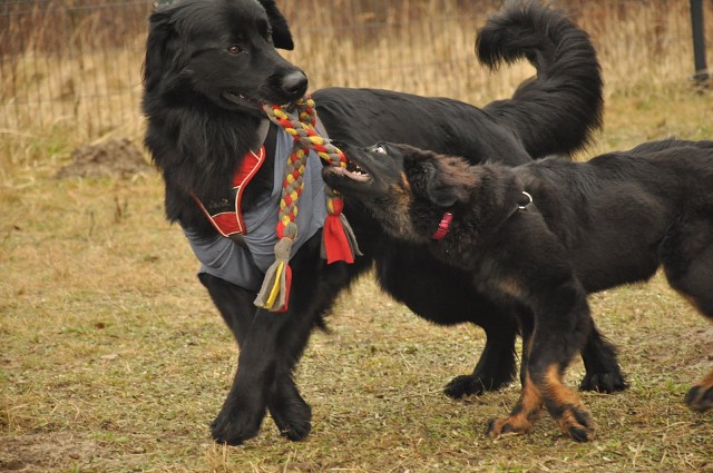 271178725 5413451542003585 4336149422463315740 N