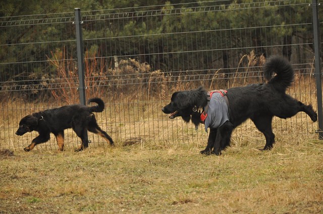 271180114 5413455008669905 326357246513895636 N