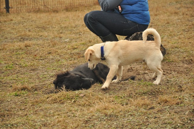 271185698 5413455795336493 3742786474485892206 N